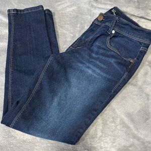 1822 Denim Adrianna Dark Wash Skinny Jeans